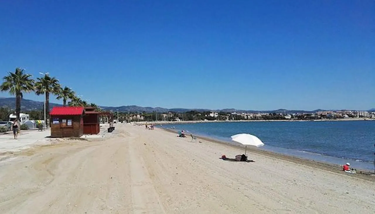 Cui Bono Villa L'Ampolla 0*,  İspanya
